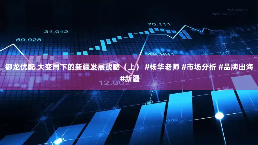 御龙优配 大变局下的新疆发展战略（上） #杨华老师 #市场分析 #品牌出海 #新疆